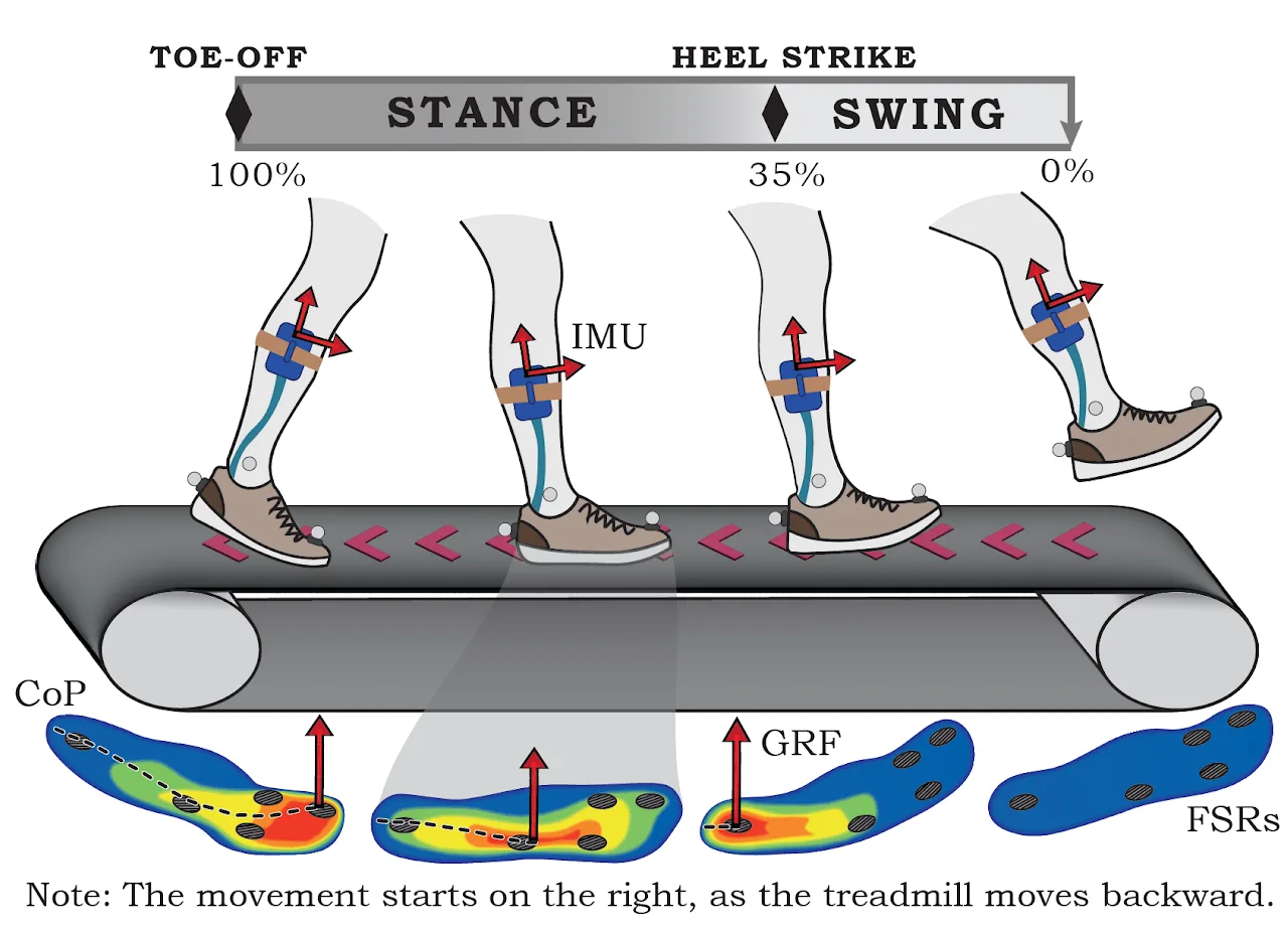 INSTRUMENTED INSOLE — Wearables & Prosthetics