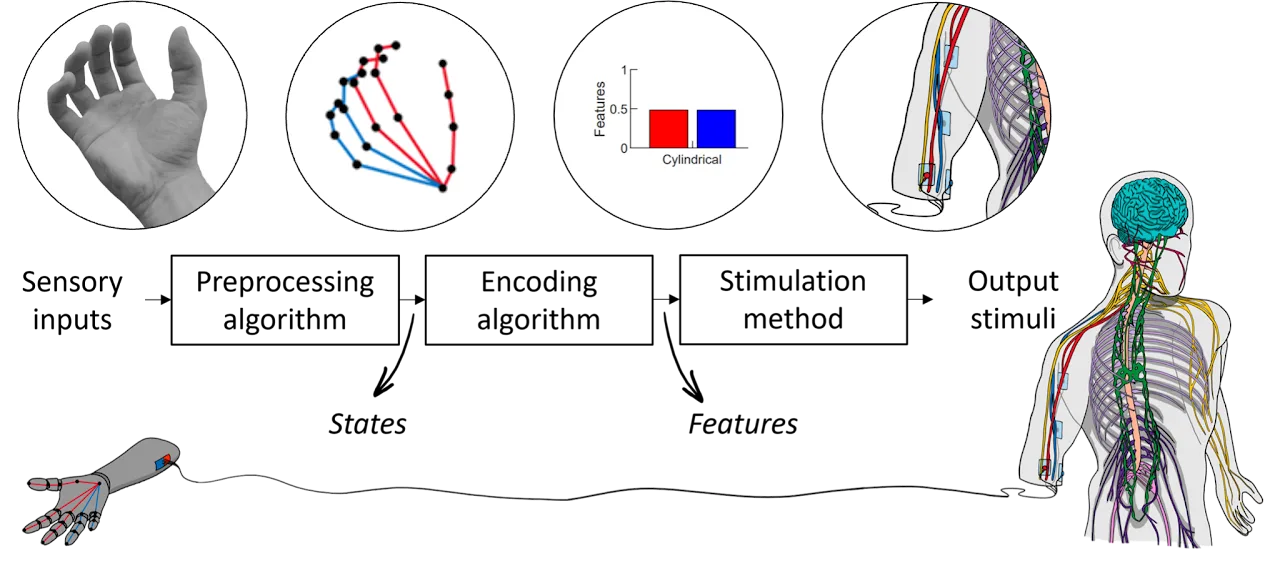 TENS PROSTHESIS — figure 3