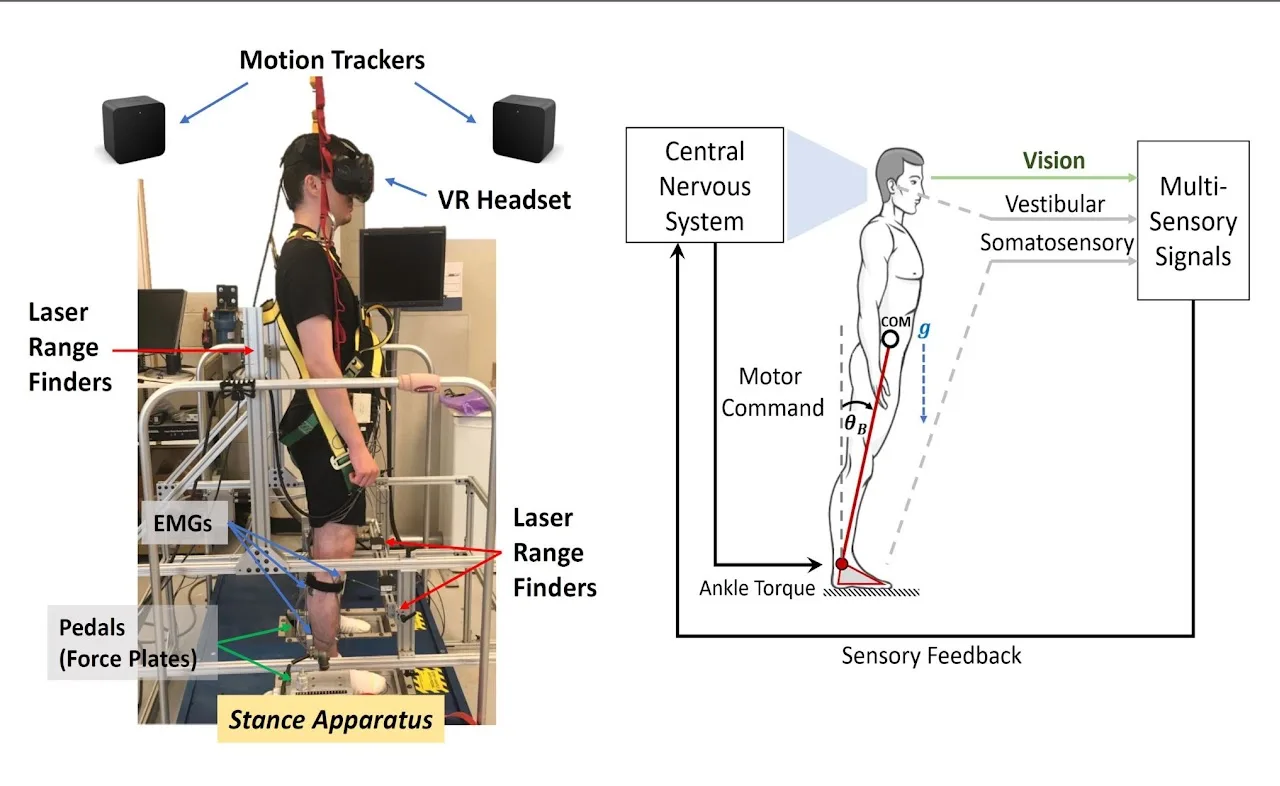 POSTURAL CONTROL VISION — figure 2