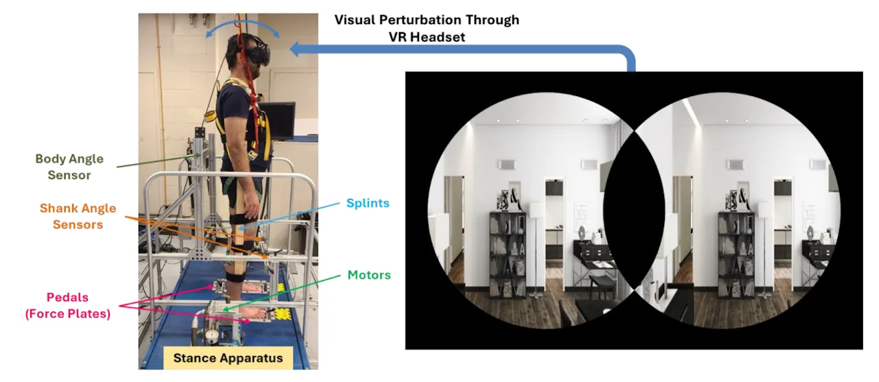 POSTURAL CONTROL VISION — figure 3